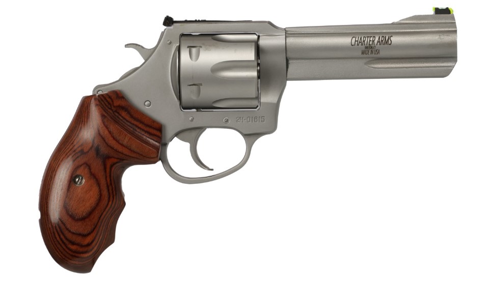 THE PROFESSIONAL 357MAG SS
