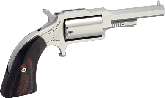 SHERIFF 22LR/22MAG 2.5″ SS 5SH