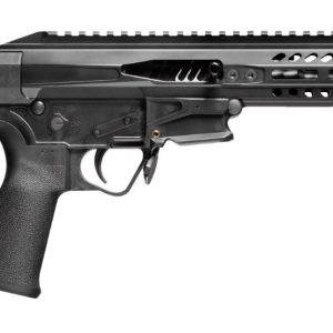 PSG .22LR PISTOL 8" BLK BRACE