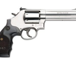 357MAG SER 357M/38S 5" SS/LAM