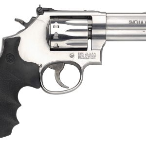 617 22LR SS 4" 10RD AS