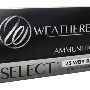 25WBY RPM 107GR HAMMER CUSTOM
