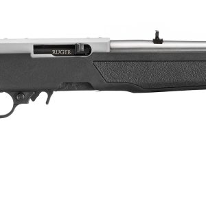 10/22 CARB 22LR SS/SYN 18.5"