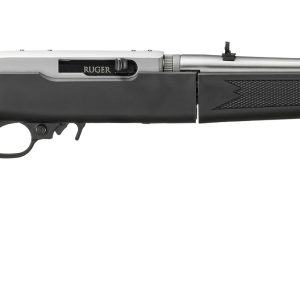10/22 TD 22LR SS/SYN 18.5"