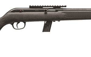 64 FV-SR SEMI-AUTO 22LR BL/SY