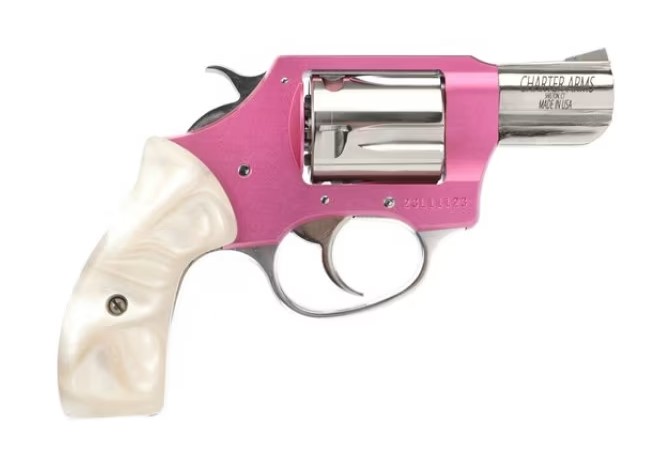 CHARTER CHIC LADY 38SPC 2" 5RD