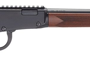 H1 BANDIT 22MAG BL/WD 18.5" TB