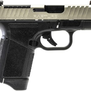 GF9 9MM 3.25" GRY/NKL 12+1