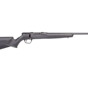 B17 17HMR BL/SYN 21"
