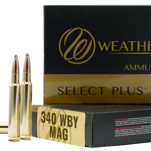 340WBY 225GR BARNES TTSX