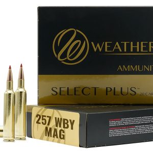 257WBY 100GR SCIROCCO