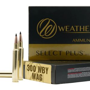 300WBY 180GR BARNES TTSX