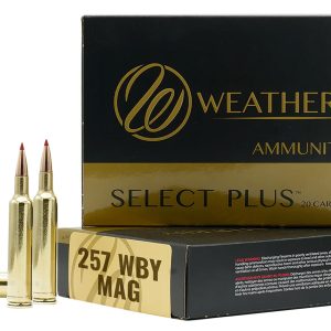 257WBY 92GR HAMMER CUSTOM