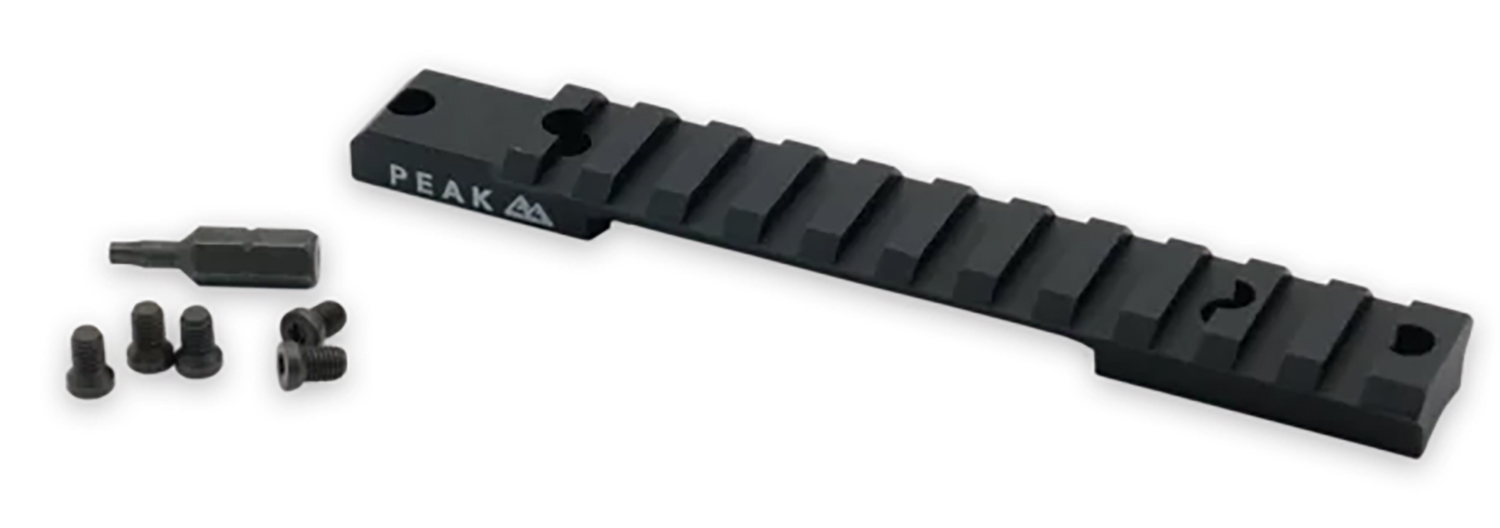 PICATINNY RAIL 307 LA 20MOA