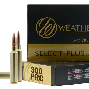 300PRC 195GR HAMMER CUSTOM