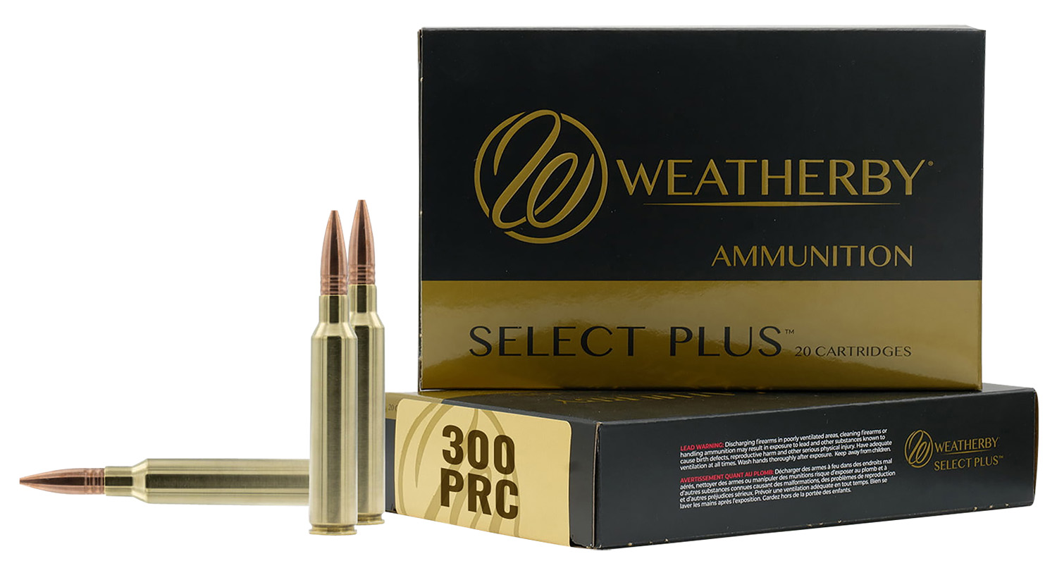 300PRC 195GR HAMMER CUSTOM