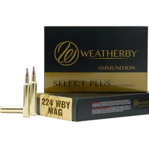 224WBY 37GR HAMMER CUSTOM