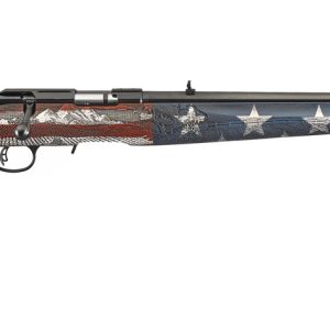 AMERICAN HEARTLAND 17HMR 9+1