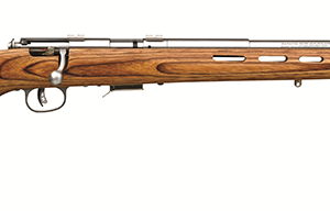 93 BOLT 17HMR SS/LAM THBHL TH
