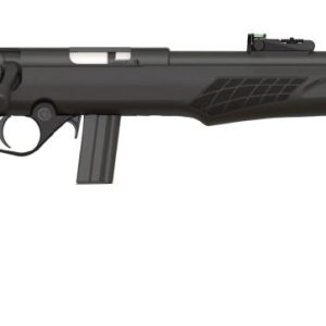 RB22 22LR BLK/SYN 18" 10+1