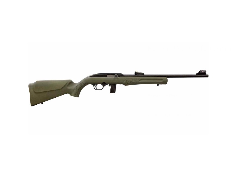 RS22 22LR BLK/ODG 18" 10+1