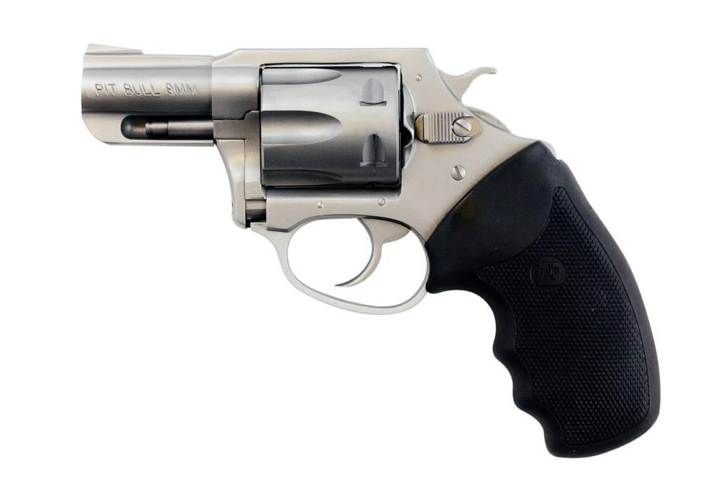 CHARTER PITBULL 9MM SS 2" FS