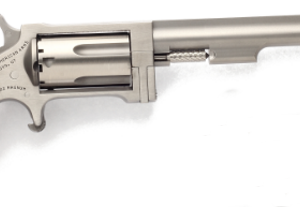 SIDEWINDER 22MAG 4" SS #