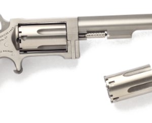 SIDEWINDER 22M/22LR 4" SS