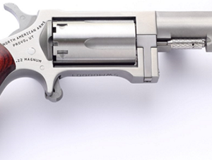 SIDEWINDER 22M/22LR 2.5" SS