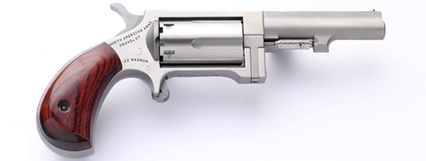 SIDEWINDER 22M/22LR 2.5" SS