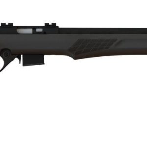 RB22M 22MAG BLK/SYN 21" 5+1