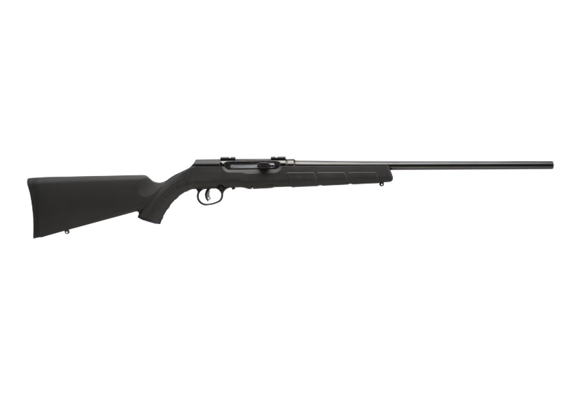 A17 17HMR BL/SYN 22" 10+1 AT
