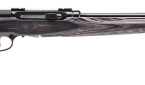 A17 TARGET 17HMR BL/LAM 22"