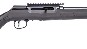 A22 22LR BL/SYN 16.5" 10+1 TB