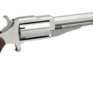 THE EARL 22LR/22MAG 4" SS 5SH#