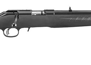 AMERICAN CMPCT 22LR BL/SY 18"