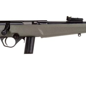 RB22 22LR BLK/ODG 16.5" 10+1
