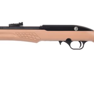 RS22 22LR BLK/FDE 18" 10+1