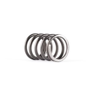 PISTON SPRING