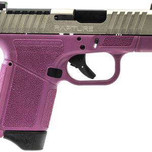 GF9 9MM 3.25" PNK/NKL 12+1