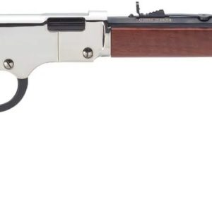 H4 GOLDEN BOY SILVER 17HMR