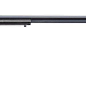 RR 22LR BLUE 16" 6RD AS