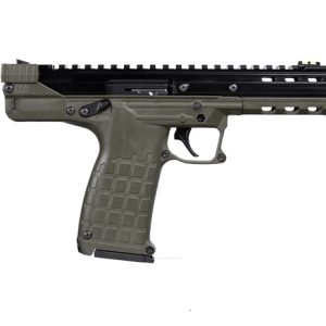 CP33 22LR 33+1 BL/GREEN TB
