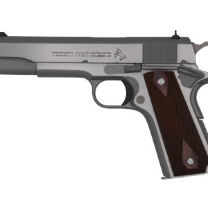 1991 GOVERNMENT 45ACP SS 5"