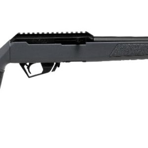 RXR 22 22LR BL/GRAY 16.5" TB