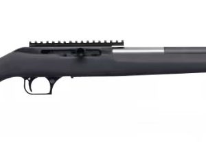 MAGNUM LT 22MAG STRAIGHT PULL