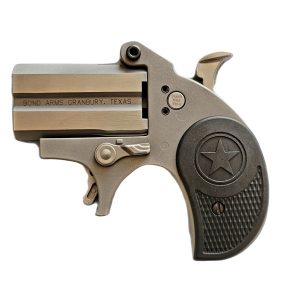 STUBBY 22LR SS 2.2" FS