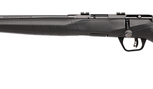 B17 17HMR BL/SYN 21" LEFT HAND