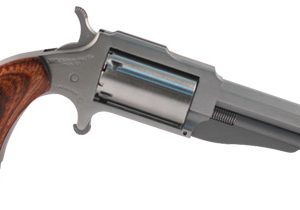 THE EARL 22LR/22MAG 3" SS 5SH
