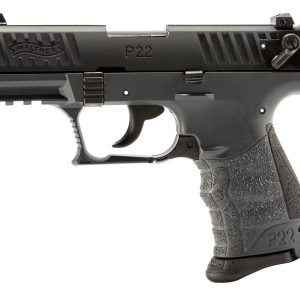 P22 22LR FULL TUNG 10+1 3.4" #